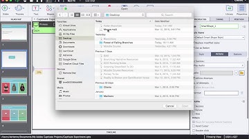 Create Audio Button with Captivate
