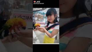 Like Wakana Muramatsu Dan Kak Dona Muramatsu