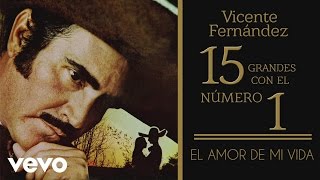 Vicente Fernández - El Amor de Mi Vida (Tema Remasterizado) [Cover Audio] chords