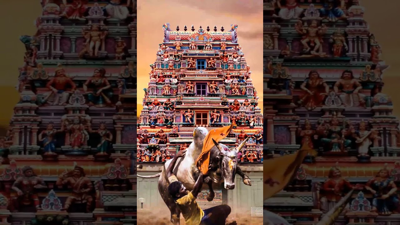 Pongal motion poster | vertical video- After effects