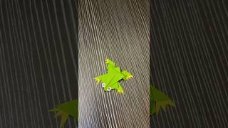Paper Frog🐸 |#shortsfeed #shorts #papercraft|Taurean arts and crafts