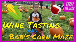 Trip to Washington 2018 (Wine Tasting 🍷, Pumpkin Patch 🎃 and Corn Maze🌽) | #TheBAWSELife