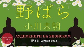 Аудиокнига на японском языке с текстом для начинающих  📖🎧 Дикая Роза, 野ばら