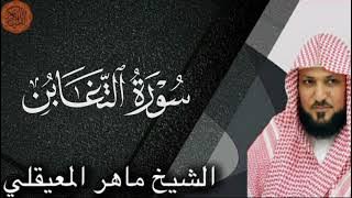 Sheikh Maher al Muaiqly Surah at-Taghabun