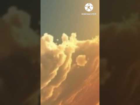 سبب زواج بنات النبي صلى الله عليه وسلم من ابناء ابي لهب