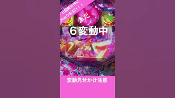 プレミアムサム 海物語 夜桜超旋風RUSH 変動 パチンコ演出サム 