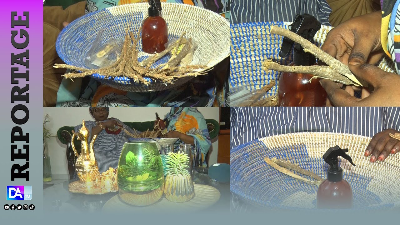 Le panier de Sokhna Maï : À la découverte du « cure-dent miracle » ou « cure-dents lubrifiant »