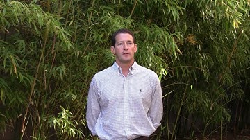 Steve Herrod, VMware