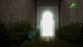 اسباب داخل شدن در بهشت (3) | اطاعت از الله و پیامبرش | مولانا مجیب الرحمن انصاری