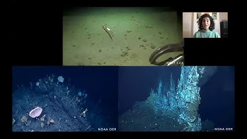 What is deep-sea mining and what are the potential environmental impacts? by Dr Diva Amon