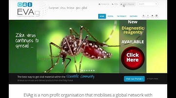 EVAg Tutorial 3: Placing an order enquiry