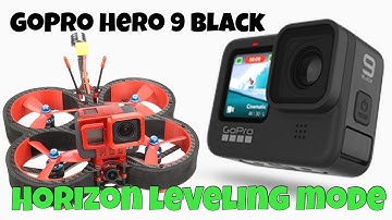 Go Pro Hero 9 Horizon Leveling Mode