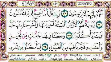 القرآن الكريم مقسم صفحات | الشيخ حاتم فريد | سورة يس | صفحة 442 مكتوبة | مصحف التجويد الملون