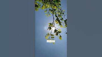 ‎الْحَمْدُ لِلَّهِ رَبِّ الْعَالَمِينَ#شريف_مصطفى | #سورة_الفاتحة.
