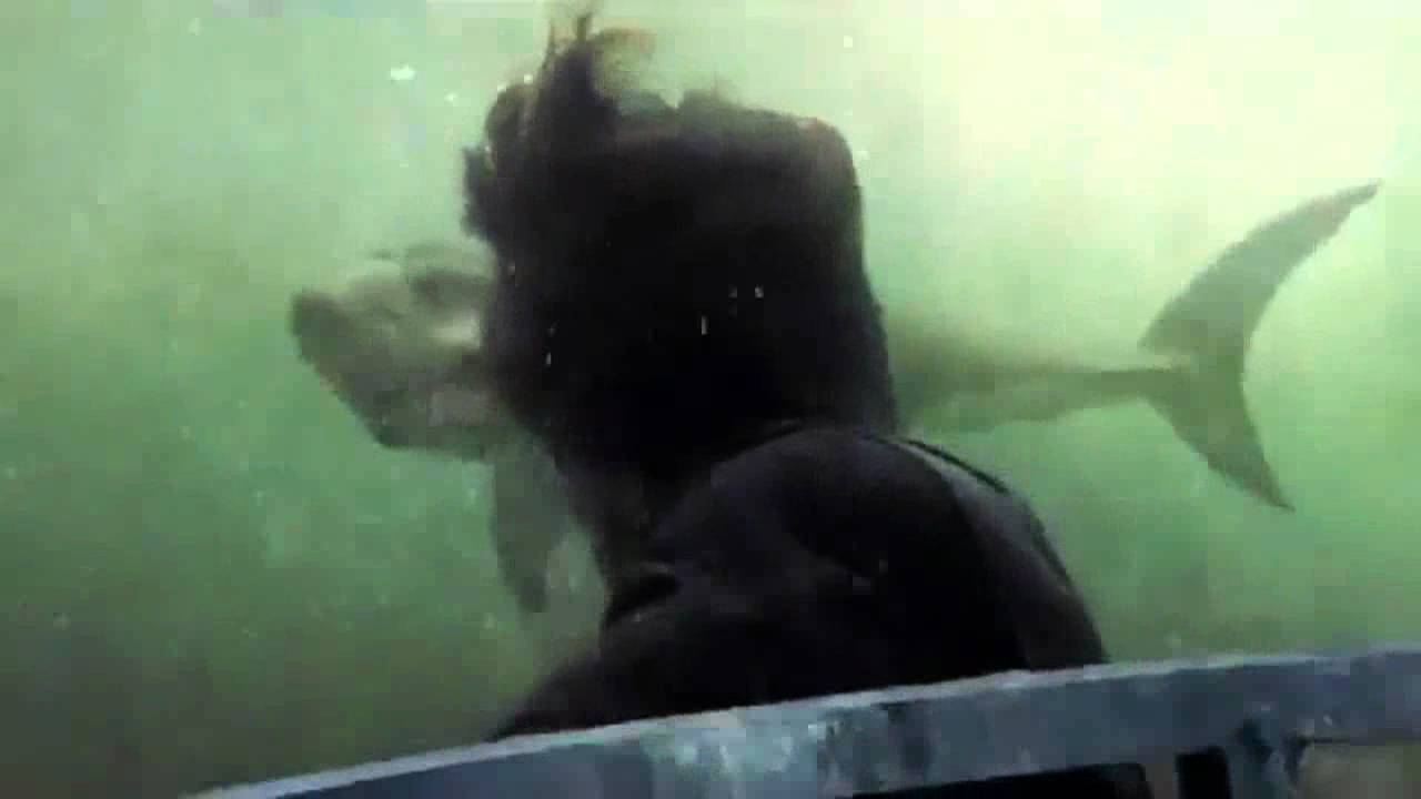 Shark Night 3DTV Spot Pulse Racing (HD) YouTube