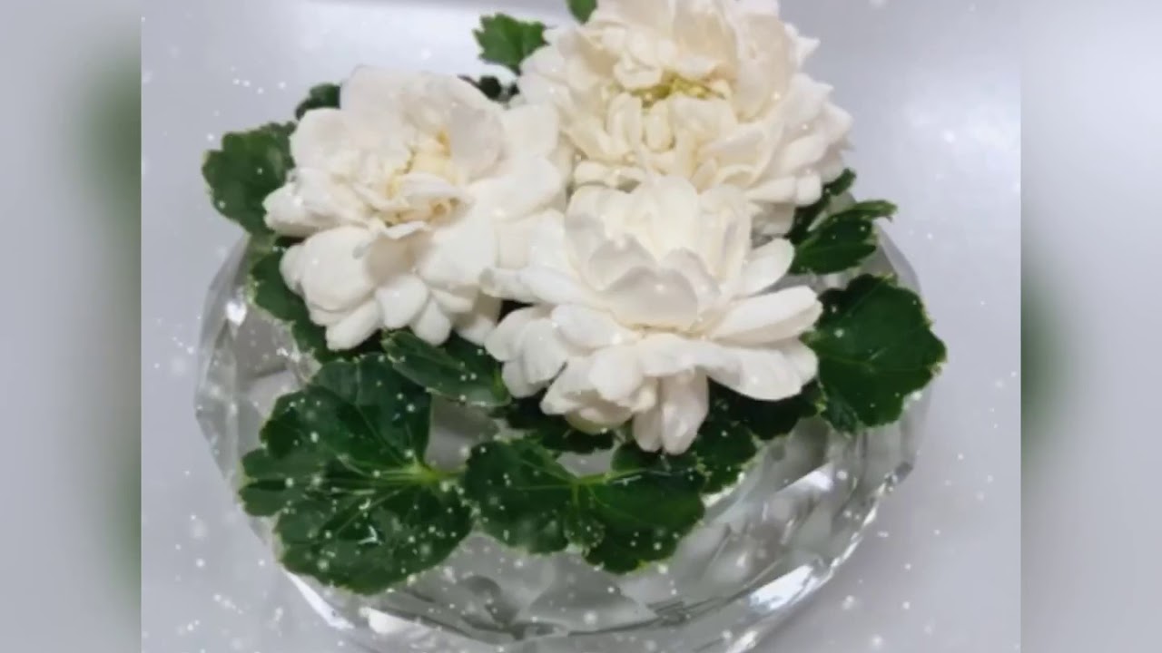 Jasmine Flower Kenny G YouTube