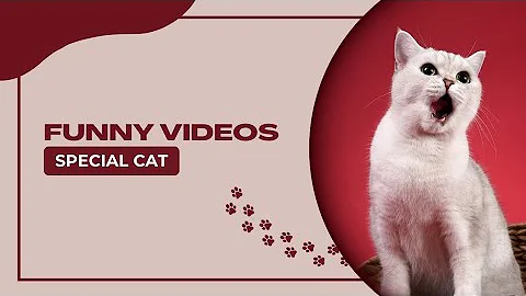 Video 2499881: cats cute pets compilation, compilation cats pets animals, cat compilation funny pet, cats compilation funny baby, draw cute baby cat