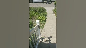 WHEEL TRANS DRIVER Bus #167