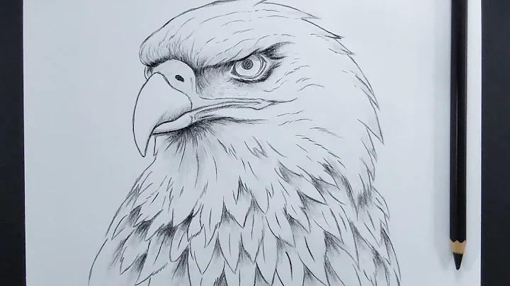 How To Draw Eagle Step By Step || Easy Animal Drawing thumbnail