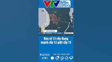 Bão số 15 vẫn đang mạnh cấp 12 giật cấp 15 | VTVWDB