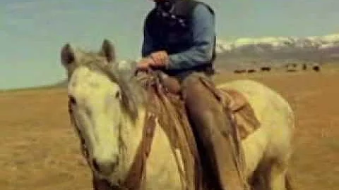 Jane Hilton: Cowboy (Super 8)
