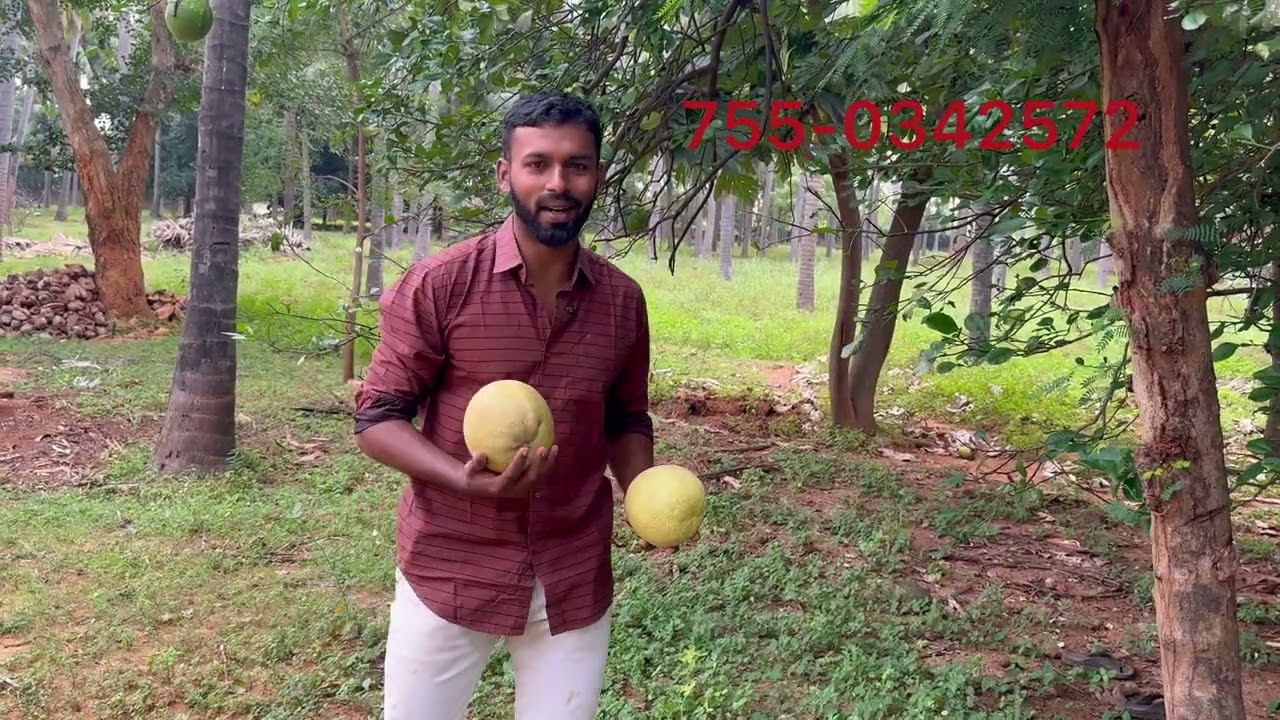 தென்காசியில் இருந்து 20கிலோ மிட்டர் தொலைவில் அருமையான தோட்டம் விற்பனைக்கு உள்ளது 5.4 ஏக்கர் விலை