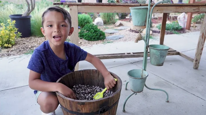 Deconstructing and Re-planting my Succulent Bouquet