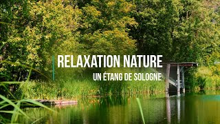 Méditer, se reposer, dormir au bord de l'eau - Relaxation Nature - Un étang de Sologne