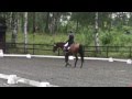 Chalk´n Talk, CCI* Dressyr NM Starum 2012-07-13