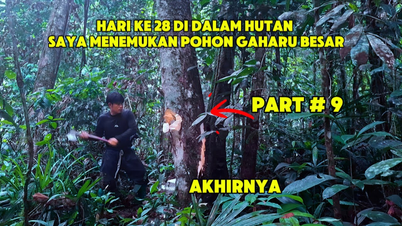 Part 9 kami harus meninggalkan Sungai keputih untuk ke lokasi selanjutnya ..banyak pohon gaharu