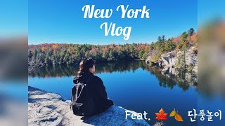 [NY Vlog] 미국약사일상??| 힐링여행 to Minnewaska State Park | 뉴욕의 가을을 즐겨보쟈!