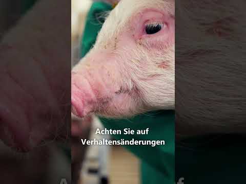 #8HF - Gesundheitschecks