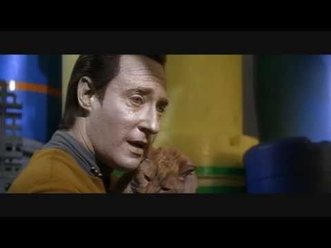 Data finds spot