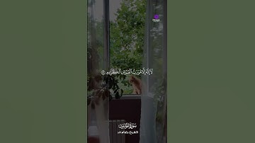 تلاوة خاشعة من سورة المؤمنون بصوت الشيخ رضا سعد #القرآن_الكريم #سورة_المؤمنون #رضا_سعد #تلاوة_خاشعة