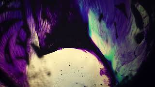 The Shredz & Katrin Bethge - Stratosphere