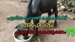 Video Download