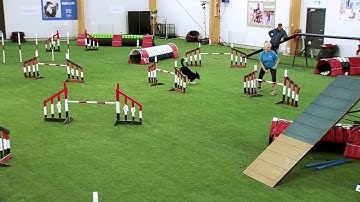 International Agility Training Week -  Connection after the Reverse Spin - preview
