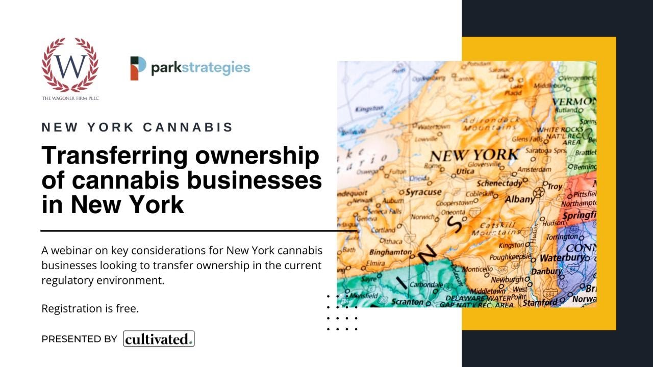 Transferring ownership of cannabis businesses in New York | Cultivated