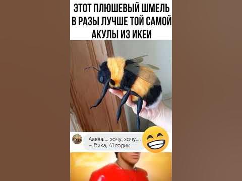 шмель #meme #memes #мем #мемы - YouTube