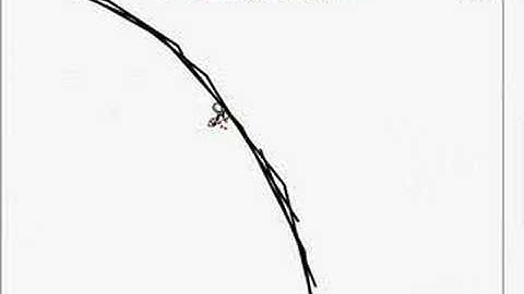 Linerider Loop-de-loop