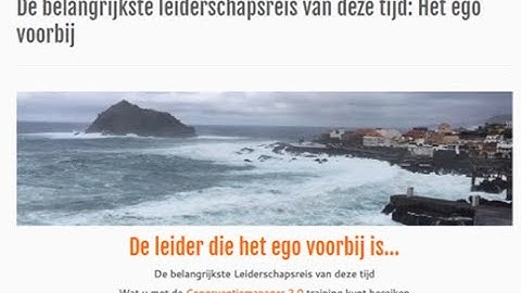 Deelnemers over de training Congruentiemanager 2 0