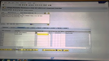 Creating a Non-Stock Requisition Against a WO