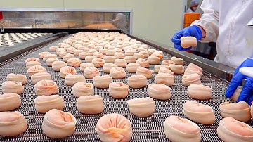 Mass production! Amazing Process of Making Dumplings - Korean food factory