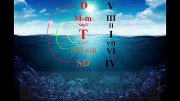 Introducción a la Tonalidad I (Grados)