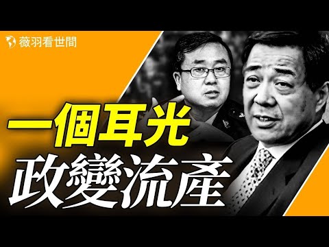 薄熙来政变因一个耳光流产！王立军到底说出了什么秘密呢？｜薇羽看世间 第829期 20240220