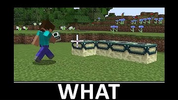 Minecraft wait what meme part 23