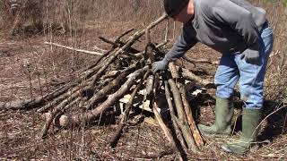 Building Brush Piles for Rabbits and Wildlife