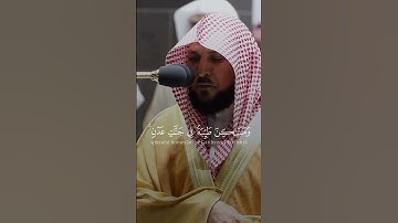 تلاوة فضيلة الشيخ د.#ماهر_المعيقلي حفظه الله
