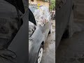 Suzuki Ritz body paint #car #painting #denting #ritz #shorts cost 3,500