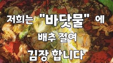 바닷물로 배추절여 처갓집의 온가족이 함께 모여 김장김치 담그는 전과정입니다.무우,배추뽑는것부터 김장김치 완성까지~